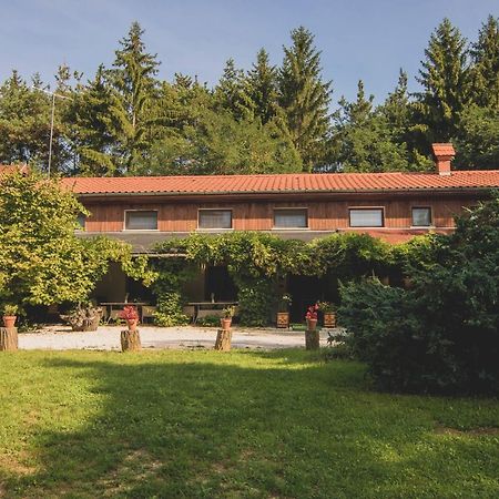 Orsegi Patakparti Alpaka Panzio Acomodação com café da manhã Kisrakos Exterior foto