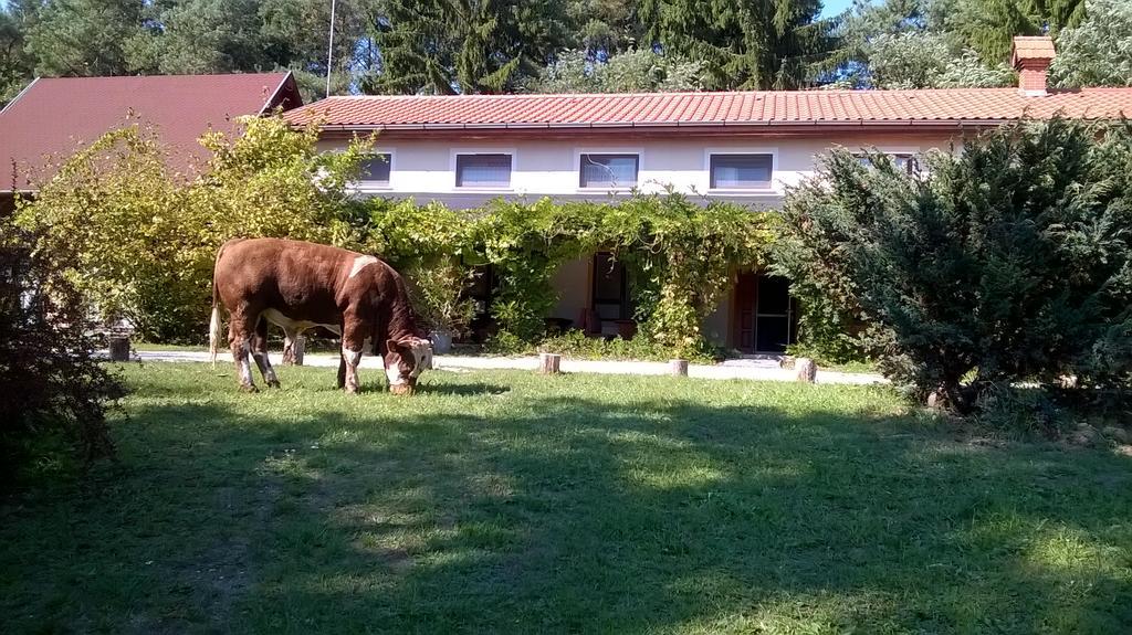 Orsegi Patakparti Alpaka Panzio Acomodação com café da manhã Kisrakos Exterior foto