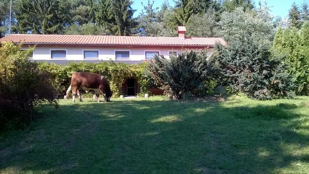 Orsegi Patakparti Alpaka Panzio Acomodação com café da manhã Kisrakos Exterior foto